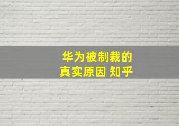 华为被制裁的真实原因 知乎